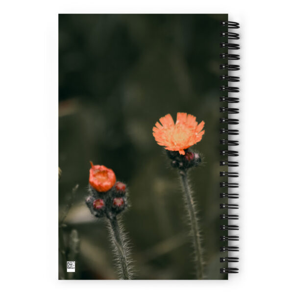 Carnet à spirale – Image 2