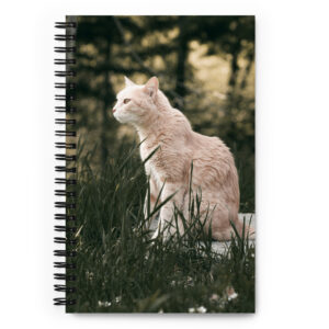 Carnet à spirale