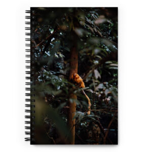 Carnet à spirale