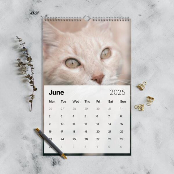 Calendrier mural (2025) – Image 4