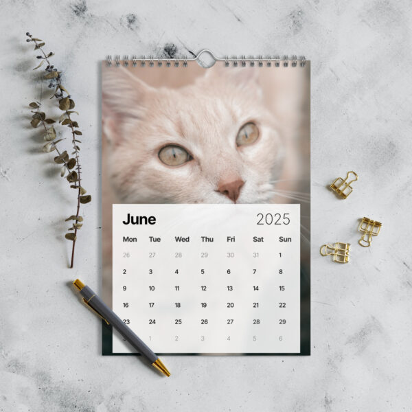 Calendrier mural (2025) – Image 3